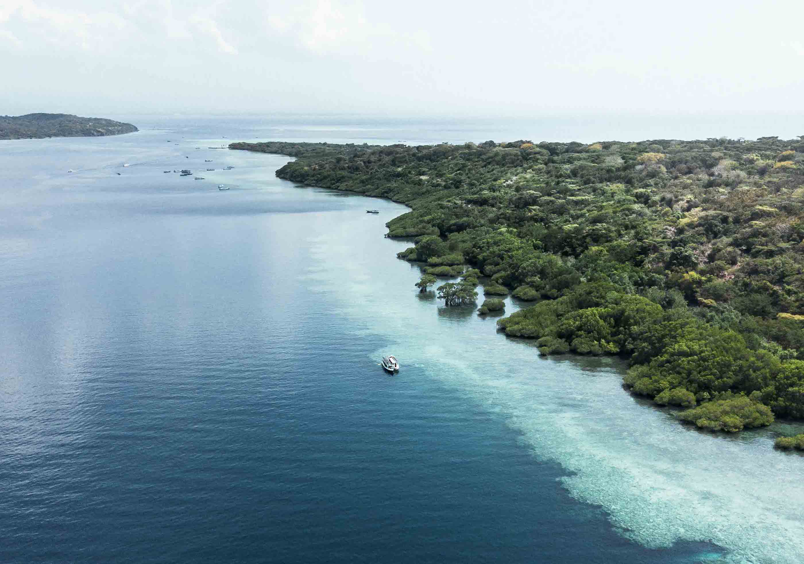 Menjangan Island