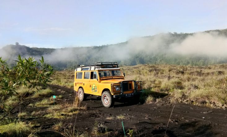 jeep safari