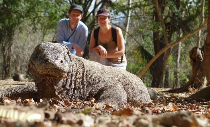 Komodo