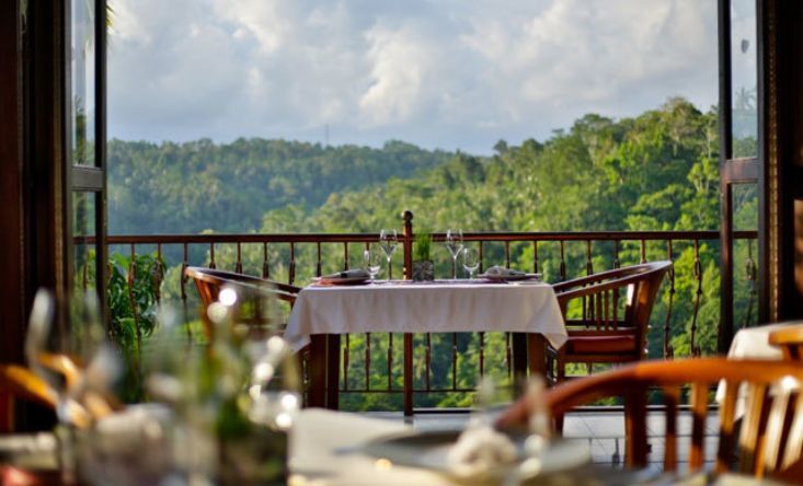 Dinner in the tropical forest