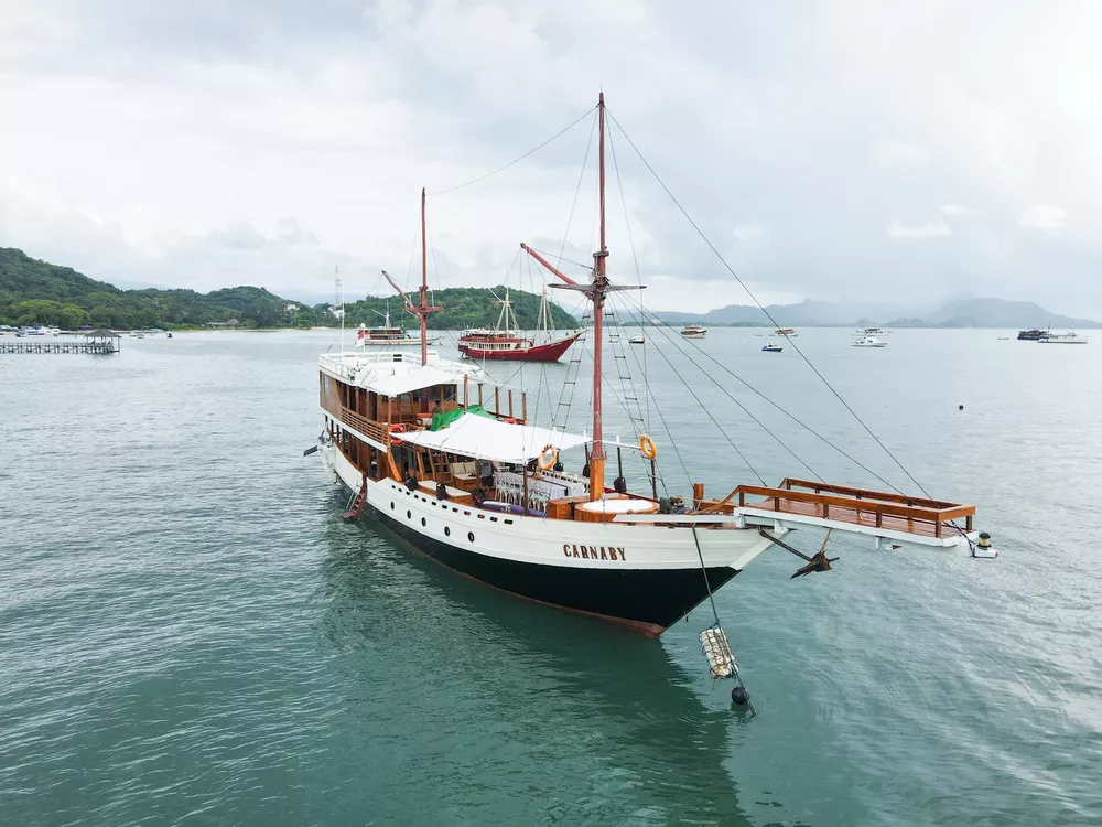 Deluxe boat “Carnaby”