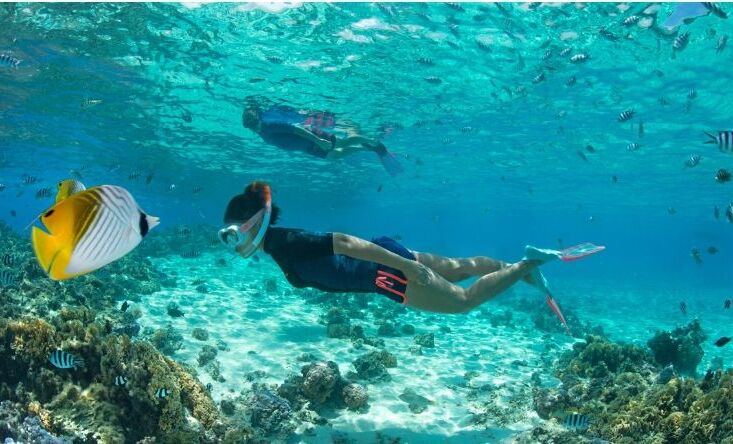 Snorkeling