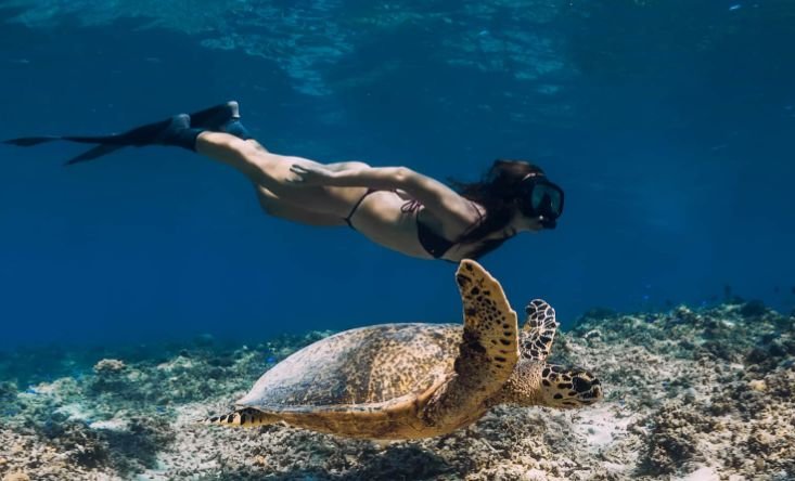 snorkeling