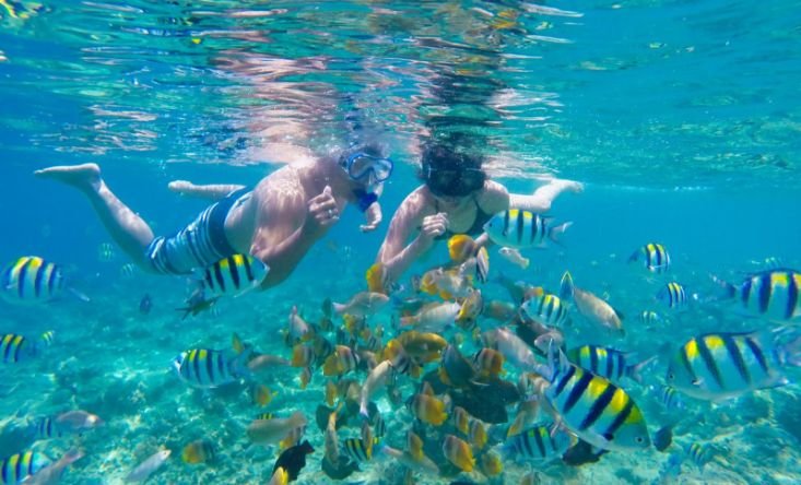 snorkeling