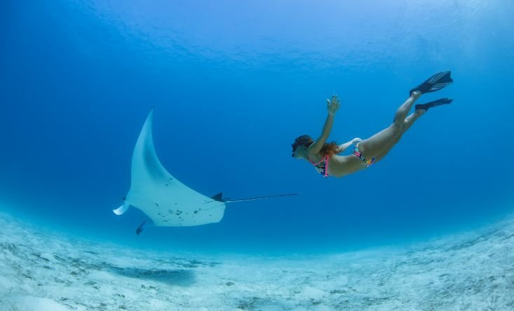 snorkeling with manta rays and turtles in Nusa Penida