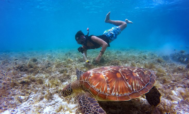 snorkeling with manta rays and turtles in Nusa Penida