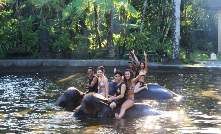 elephant park