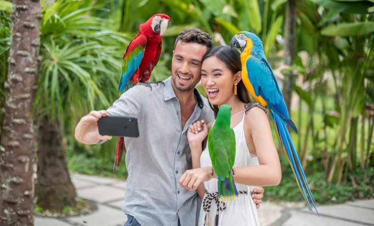Bird Park