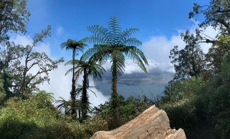View from mount Abang