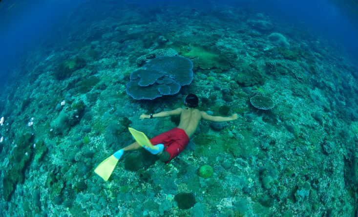 Snorkeling