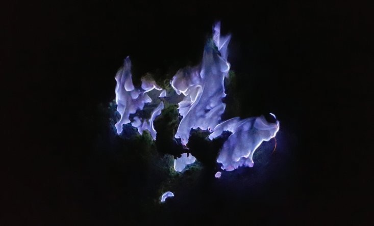 Blue Flames