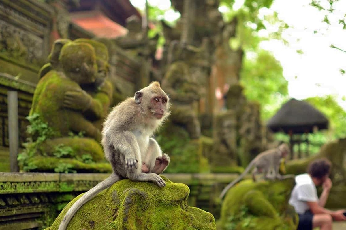 Tour package "Discover Bali and Nusa Penida"