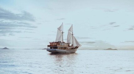 Делюкс-лодка «Elbark Cruises»