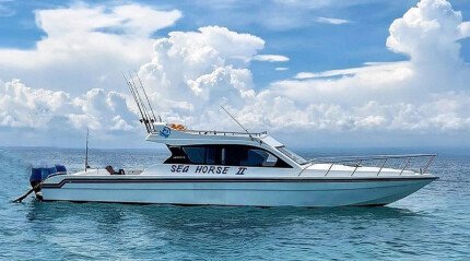 "Seahorse II" yacht cruise