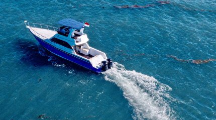 "Seahorse Trigger" yacht cruise
