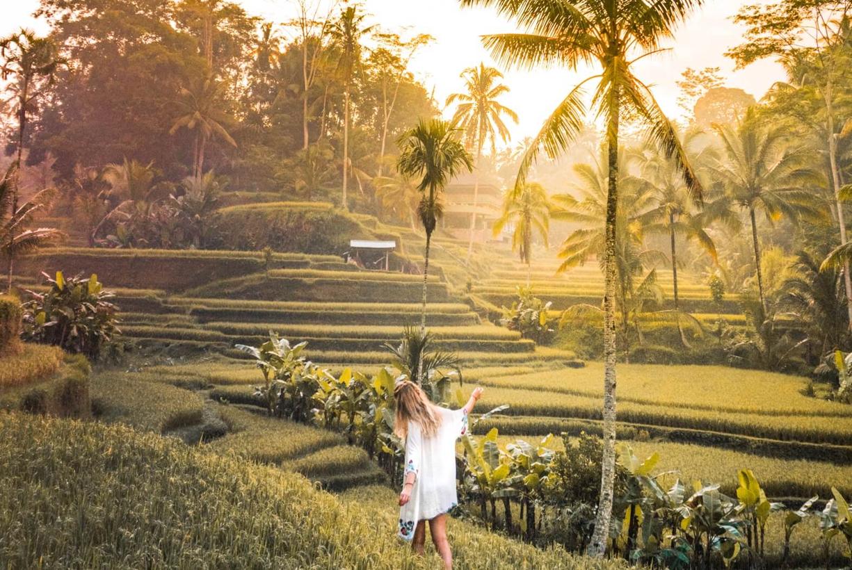 Tegallalang Rice Terraces