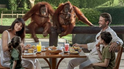 Зоопарк «Bali Zoo»