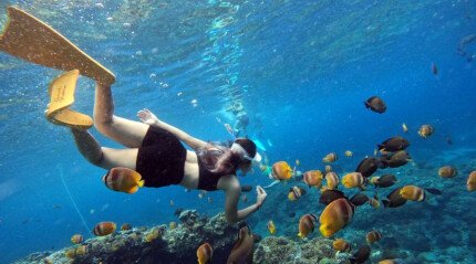Snorkeling with manta rays
