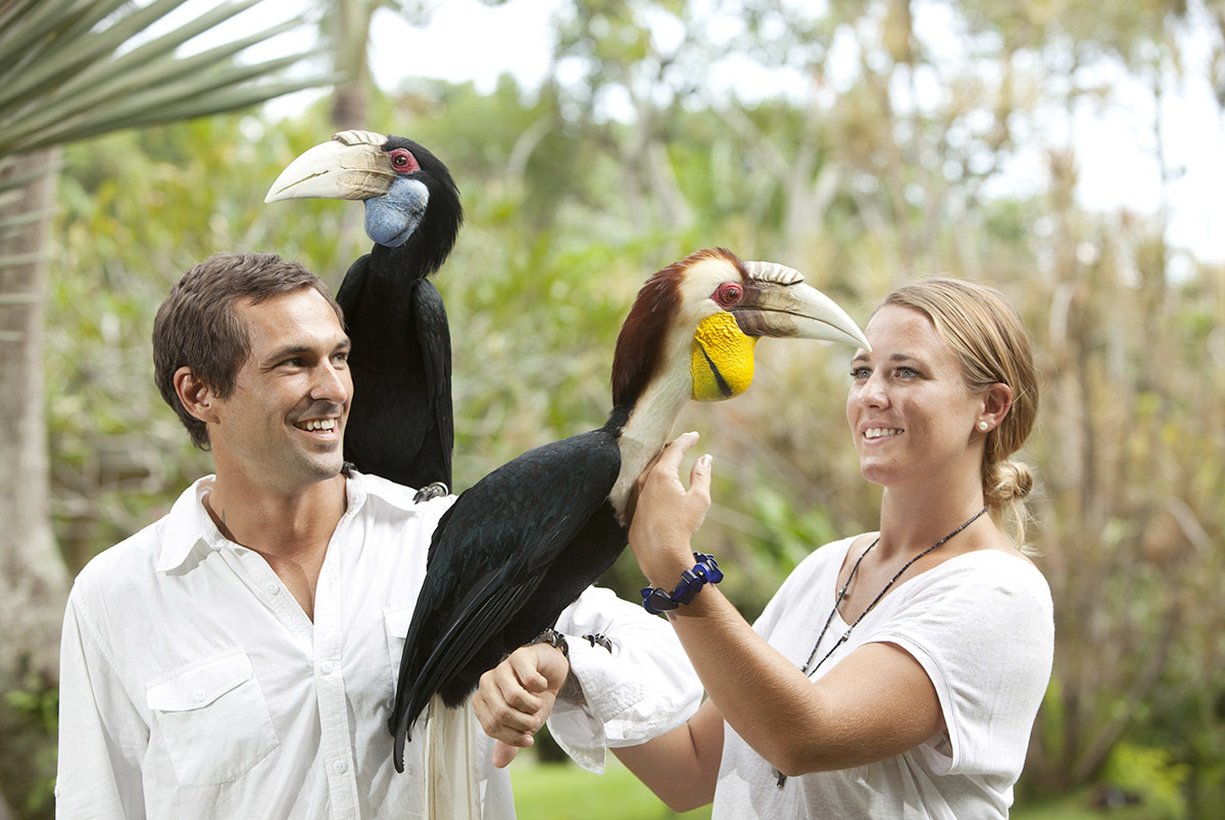 Bali Bird and Reptile Park
