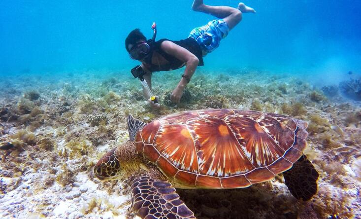 Snorkeling