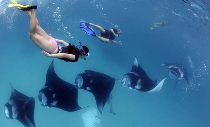 Snorkeling