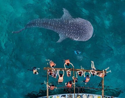 The tour of the islands of Sumbawa and Moyo