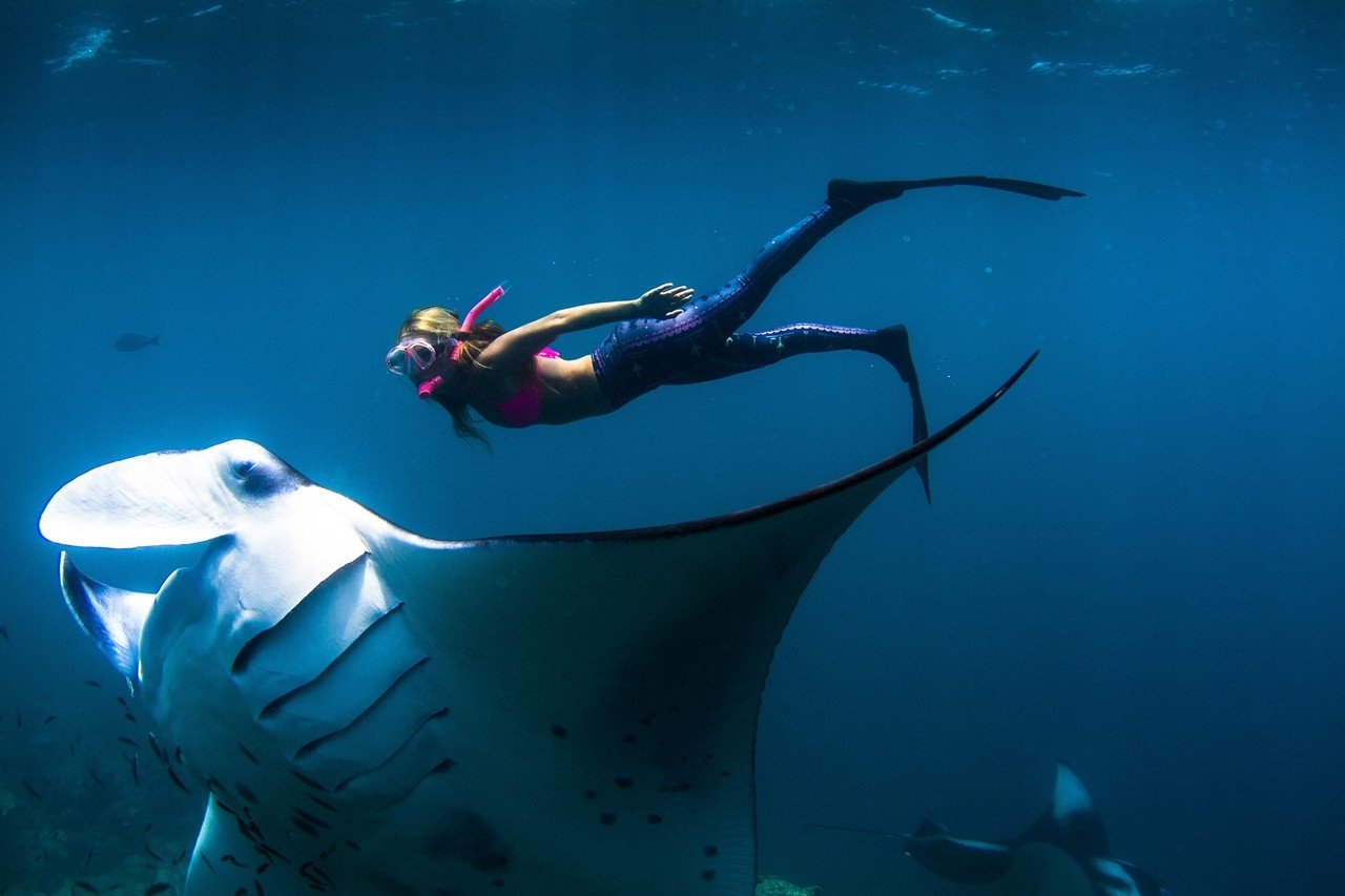 Snorkeling for Guests from Nusa Penida
