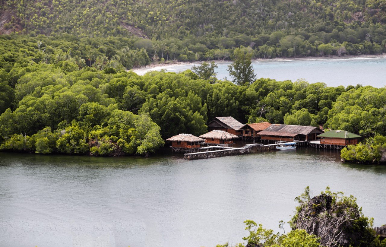 Untitled design (18).png