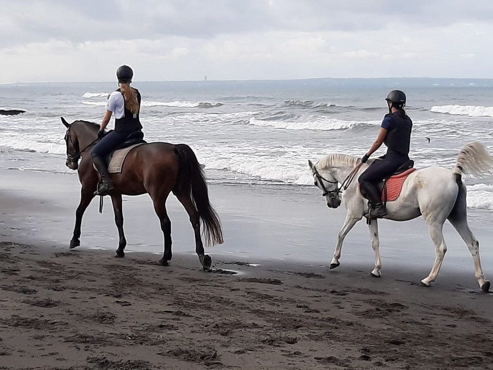 photo_2023-12-17 17.15.28.jpeg (129 KB)