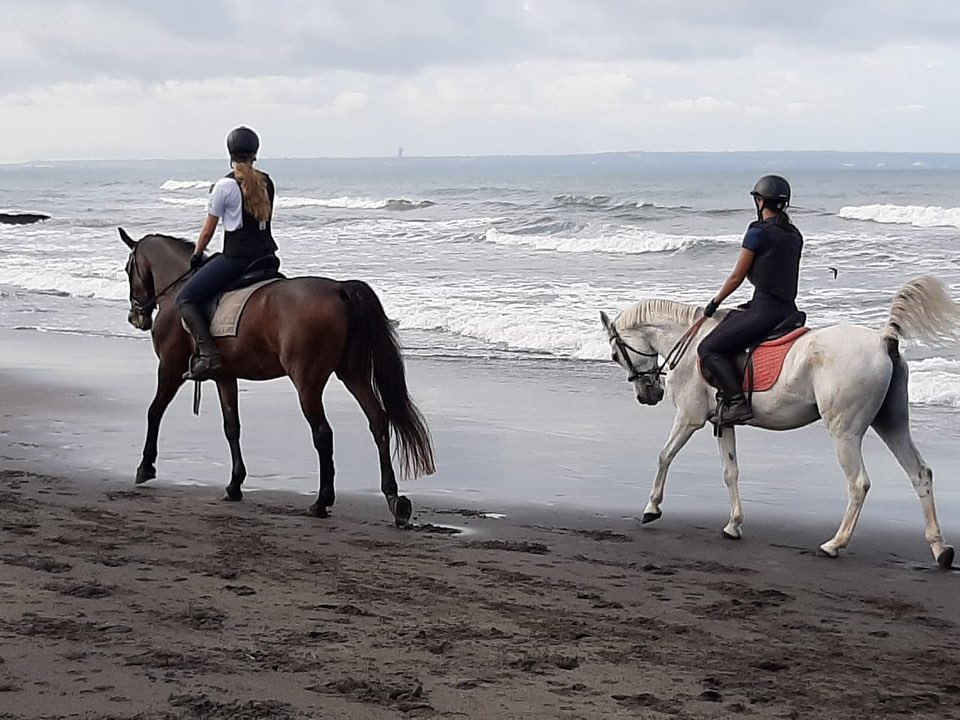 photo_2023-12-17 17.15.28.jpeg (129 KB) photo_2023-12-17 17.15.28.jpeg (129 KB)