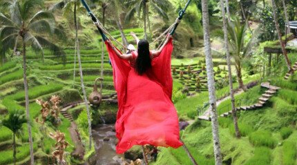 Balançoire en corde dans la jungle