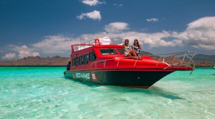 Circuit d’une journée en groupe à Komodo