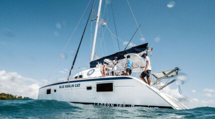 Croisière à bord du yacht « BLUECAT »