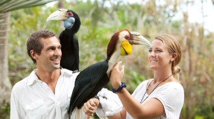 Circuit d'Ubud et Bird Park