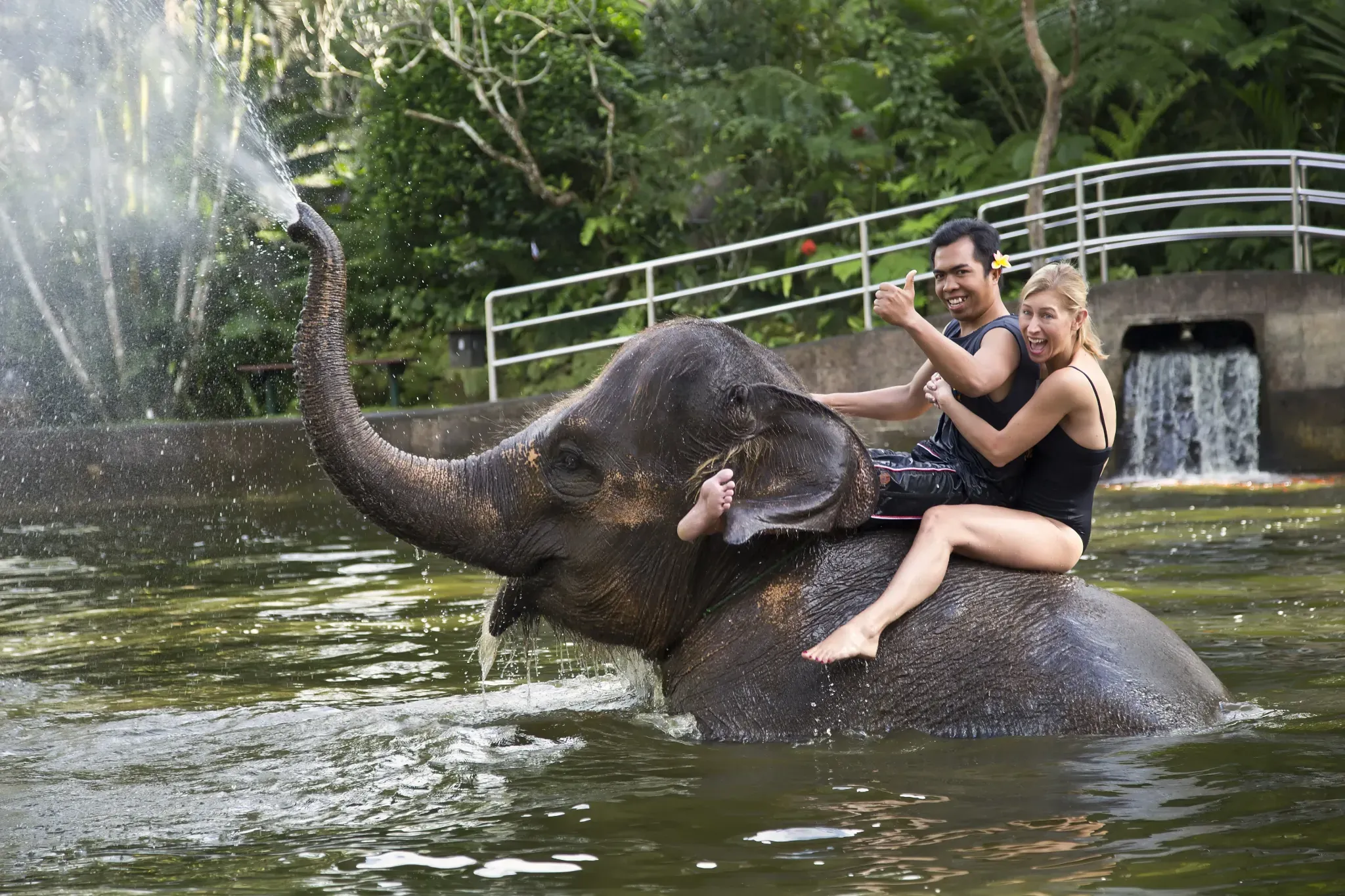 Se baigner avec un éléphant