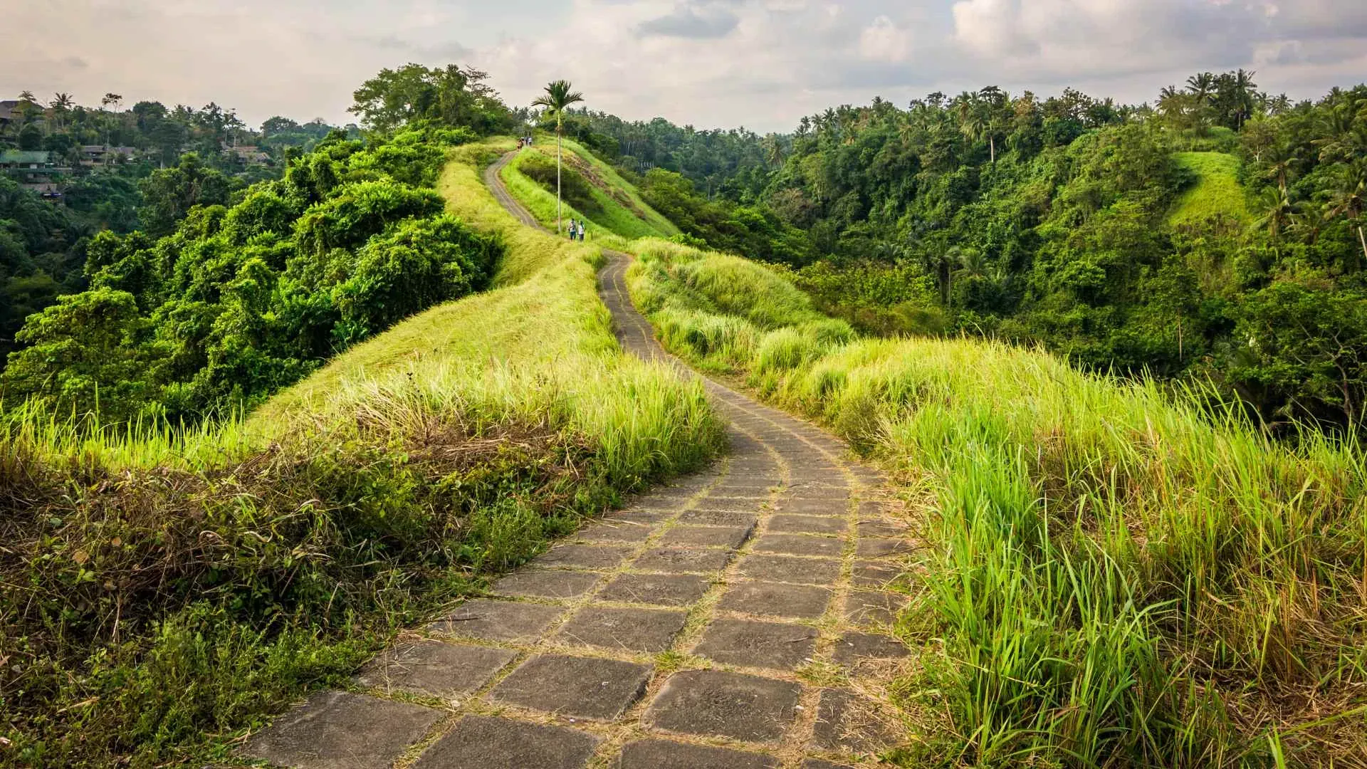 Le sentier de la crête de Campuhan