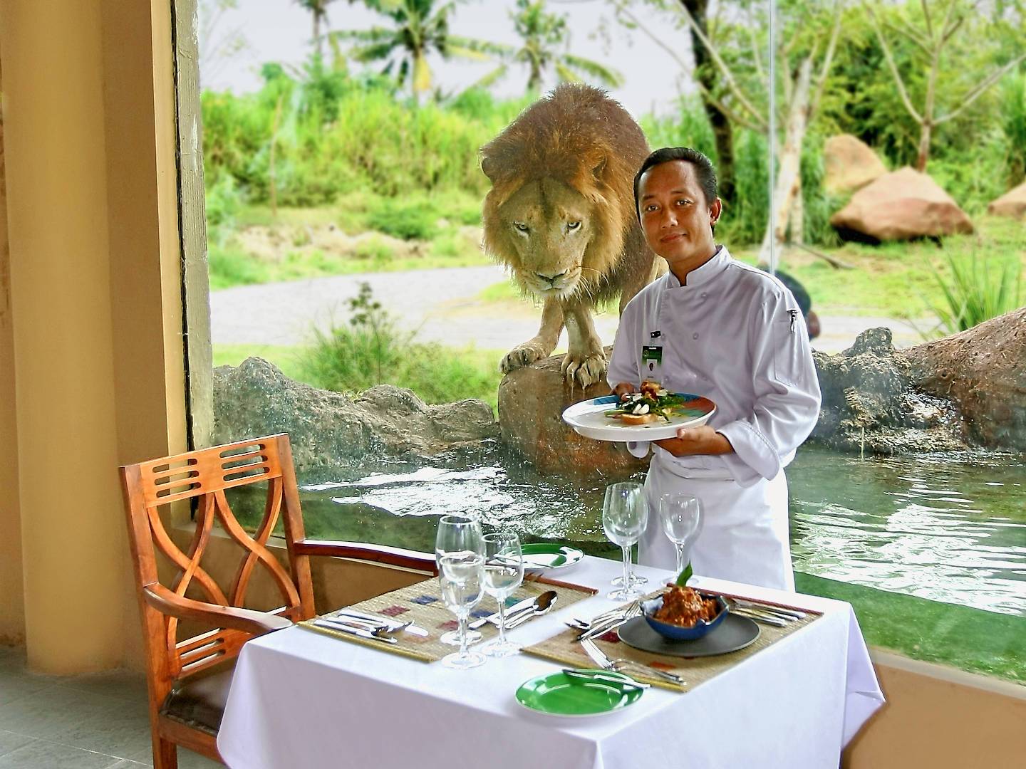Lion dans un restaurant