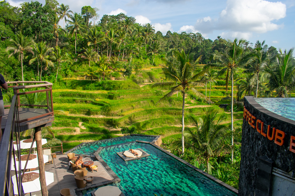 Pool in the jungle