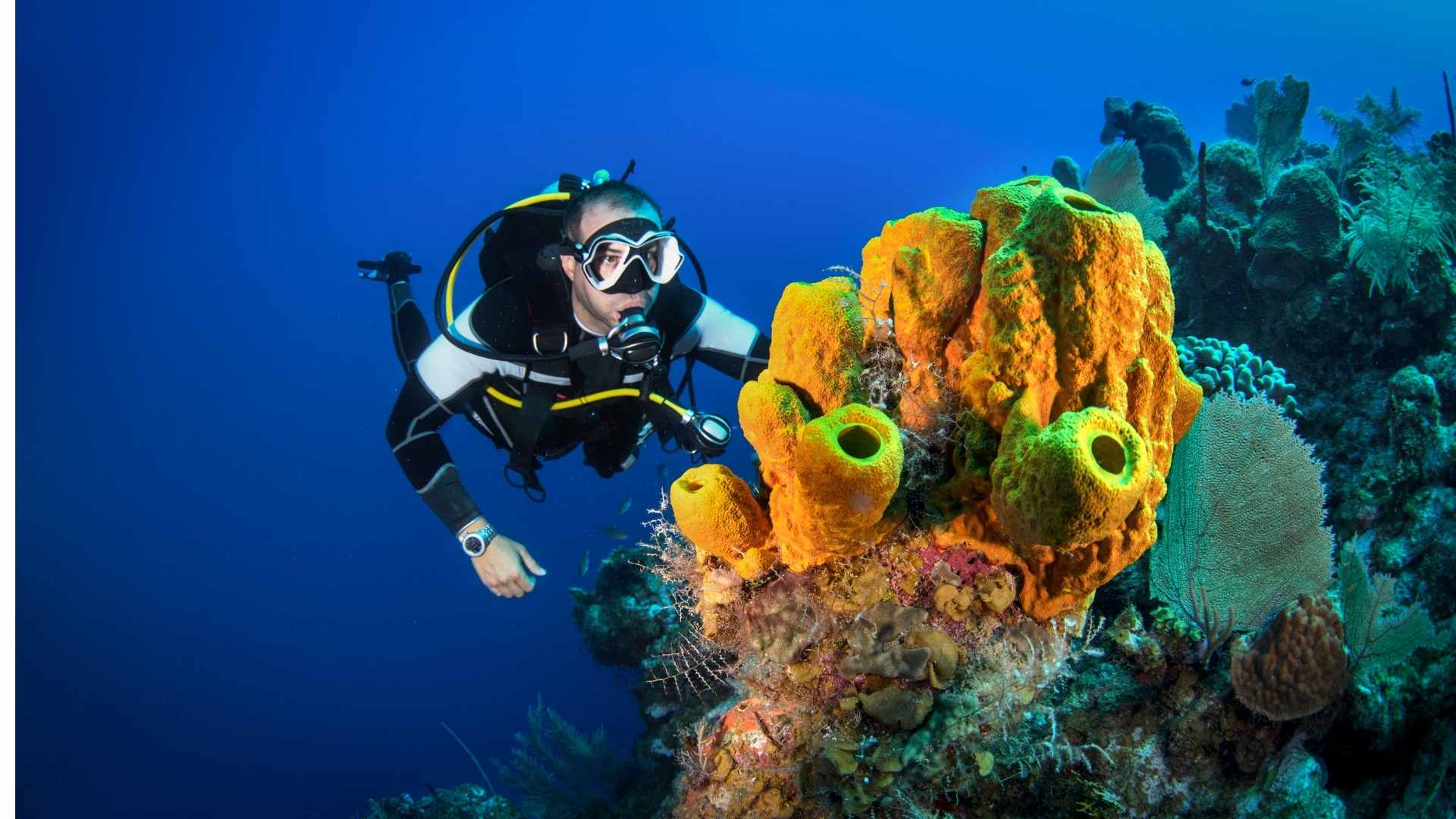 Diving in Bali