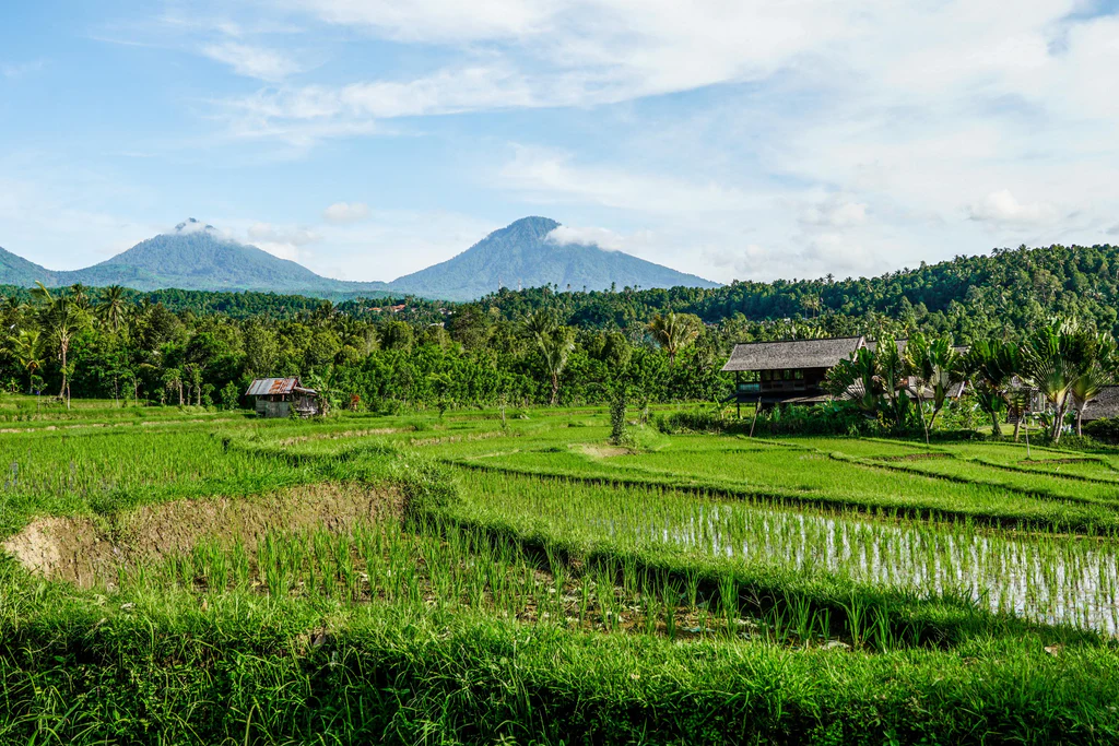 Munduk