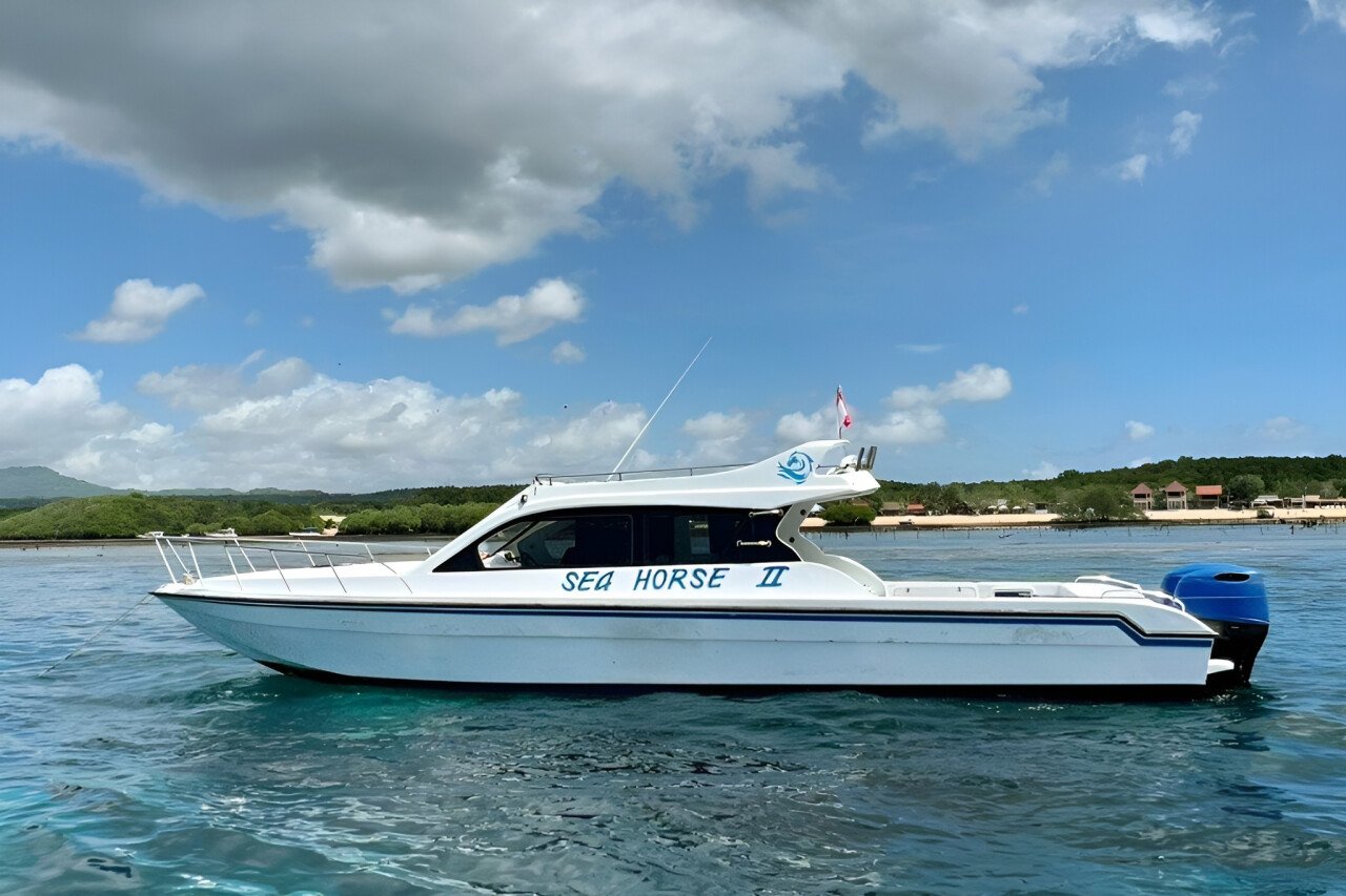 "Seahorse II" yacht cruise