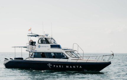 Croisière en yacht Morin