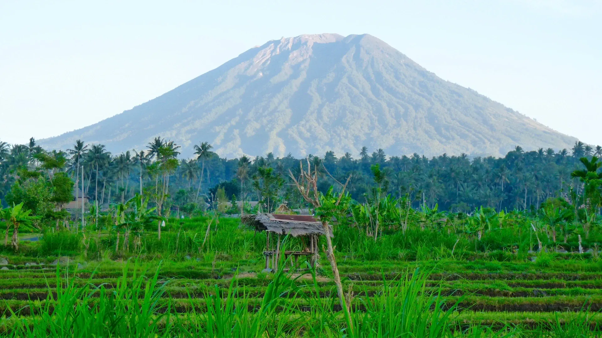 Agung
