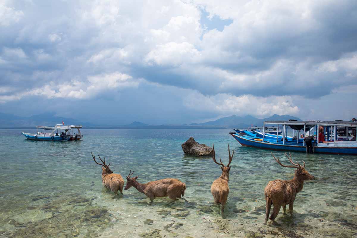 National park