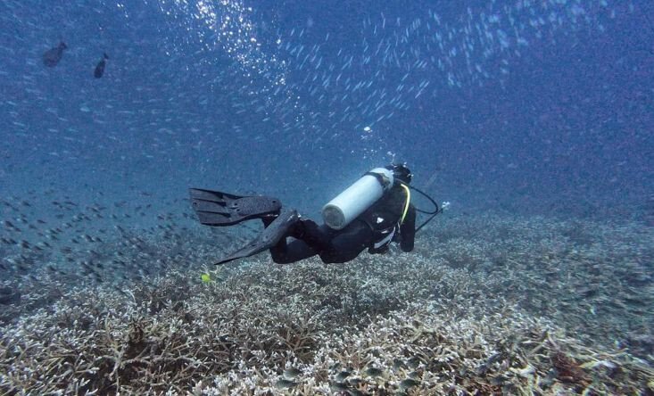 Diving