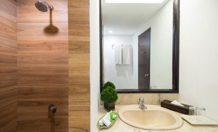 Bath in a Garden View Room