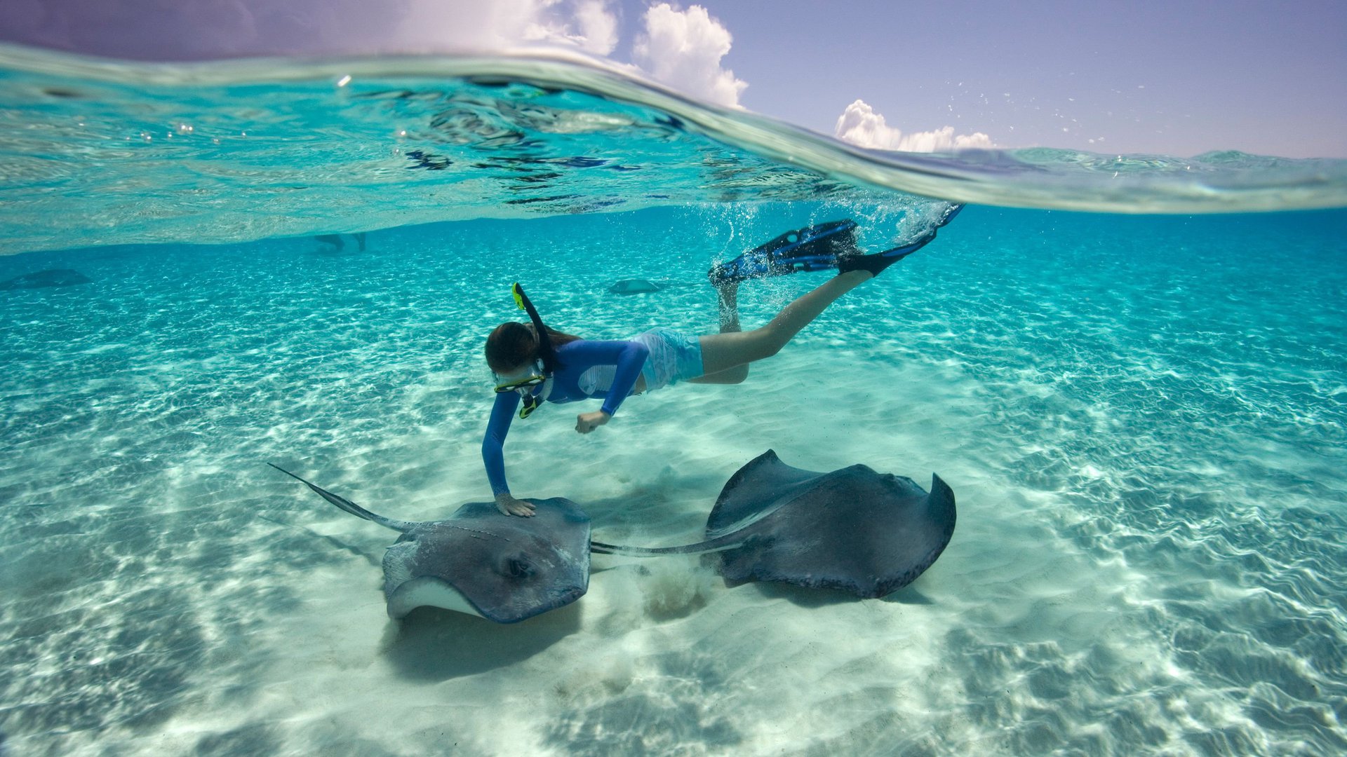 Snorkeling Snorkeling