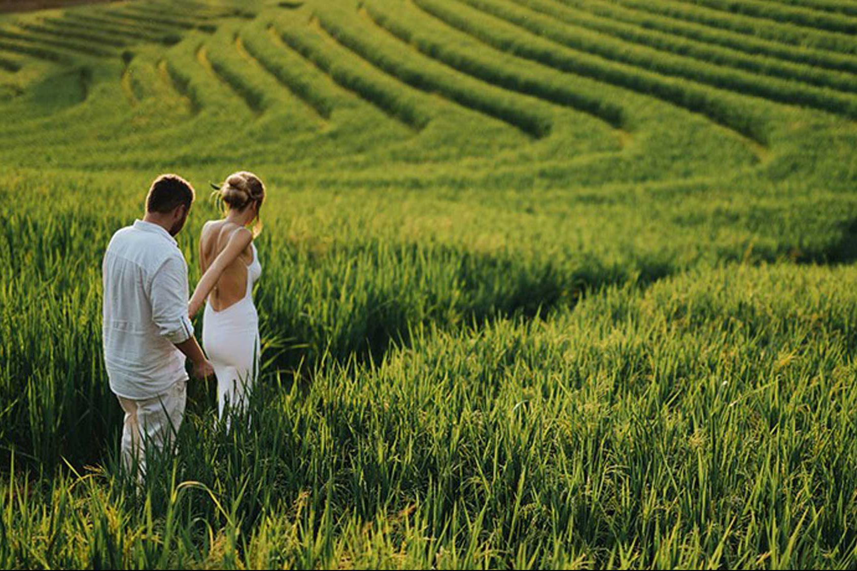 Рисовые террасы Рисовые террасы