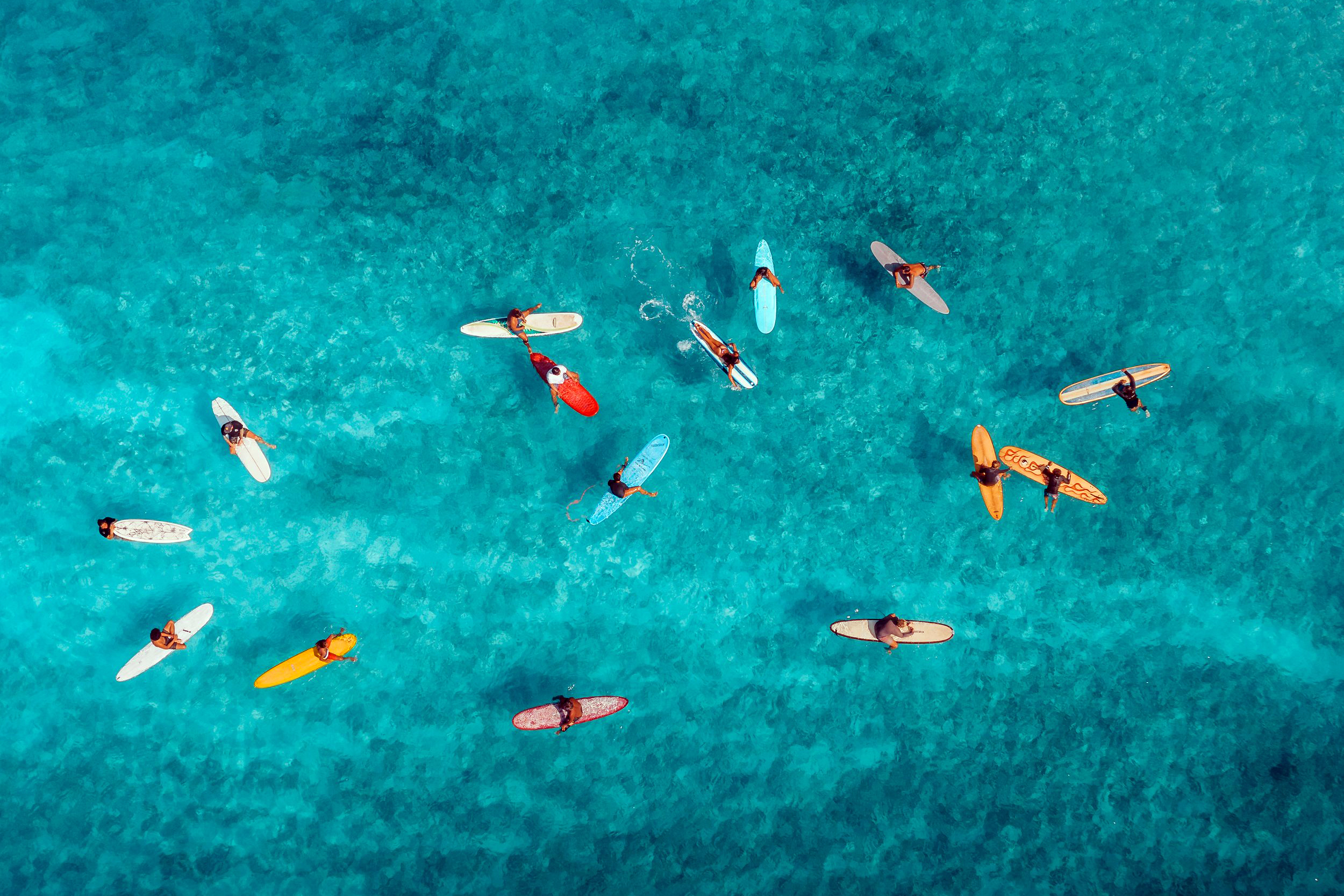 surfers in the ocean surfers in the ocean