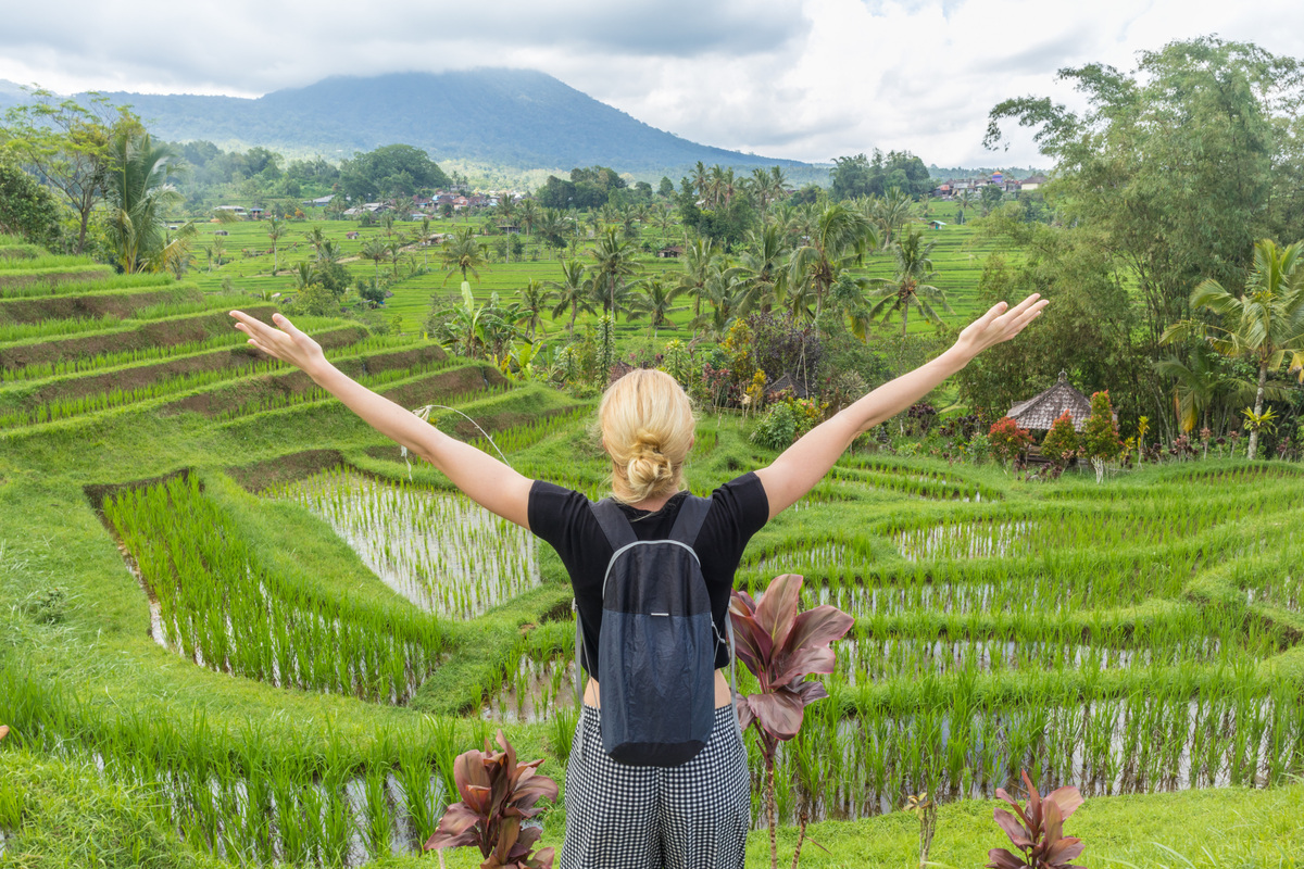 Tegalalang Rice Terraces